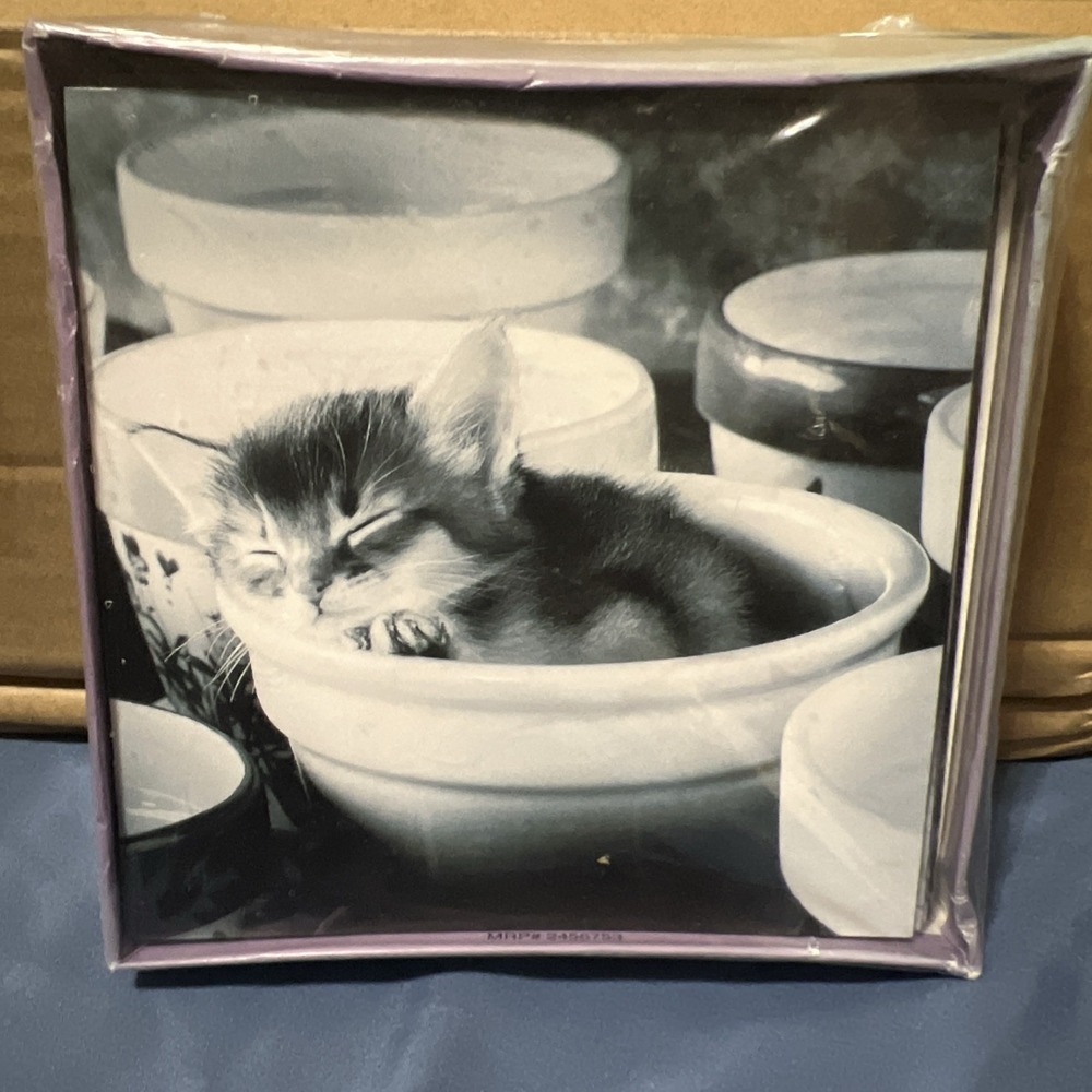 Cozy Kittens By Carlton Cards, 12  Blank Note Cards & Envelopes New-Partial Box